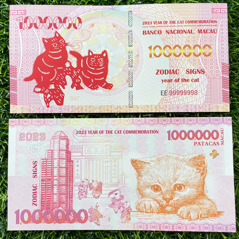 mèo macao 2023 giá tốt
