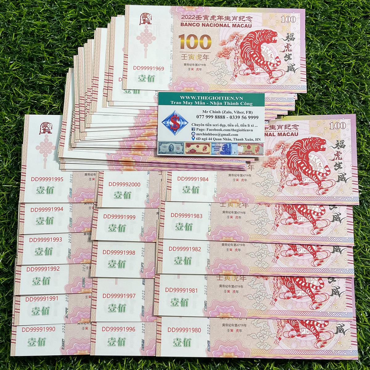 tiền hình hổ 100 macao năm sinh