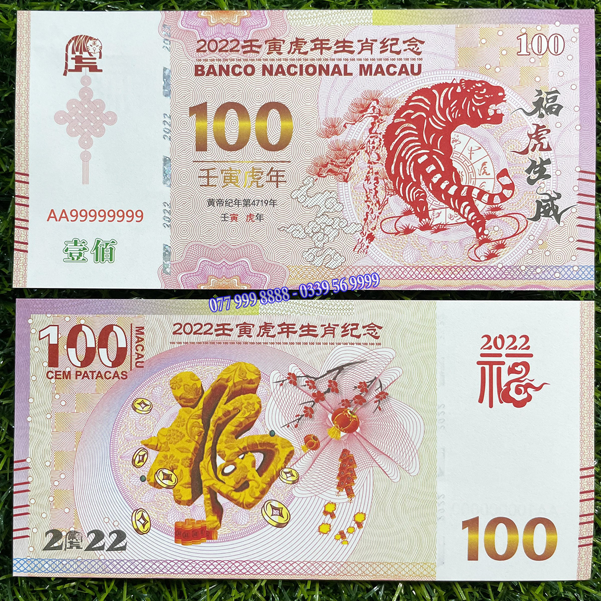tiền hổ 100 macao