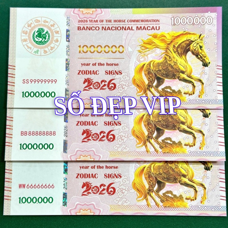 Ngựa Macao Số Đẹp